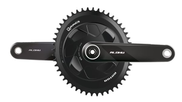 ALDHU Carbon Crank Arms 170mm | C02-117-19010-0 | ROTOR Crank Arms